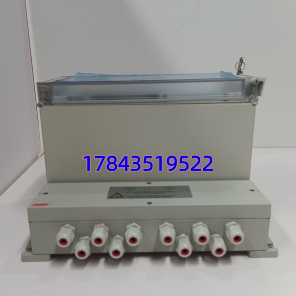 Berthold LB 4460 可替换早期 LB 4440 系列单通道主机 | 自动死时间修正 带就地显示键区 铝压铸外壳 IP65 - 图片 4