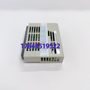 Emerson 1C31169G02 | RS-232/485 Modbus RTU 网关