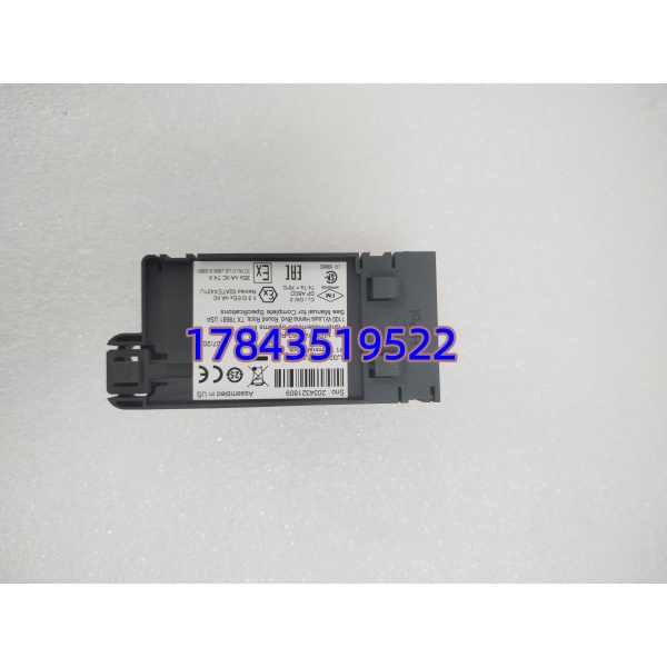 Emerson DeltaV VE4017PO H1 | M系列 FOUNDATION Fieldbus H1 接口卡 - 图片 4