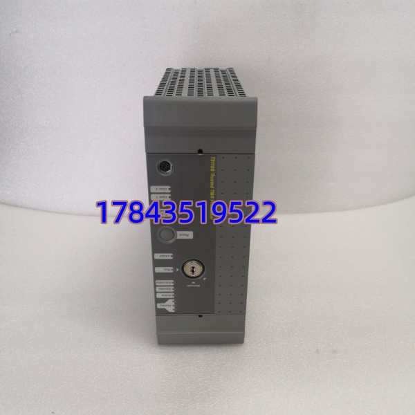 ICS Triplex T8110B | AAdvantage 系列 通信/处理器模块 - 图片 4