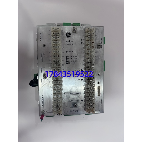 GE 201CI-1 IC201CI001 VersaMax Digital Input Module for 90-30/RX3i | 建议按机架配比备 1 件 - 图片 3