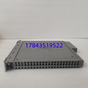 ICS TRIPLEX T8403C | Trusted TMR 24Vdc 数字量输入模块