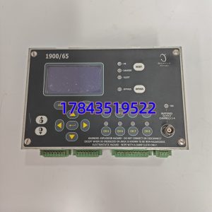 BENTLY NEVADA 1900/65A-00-01-03-01-01 | 旋转机械状态监测保护单元