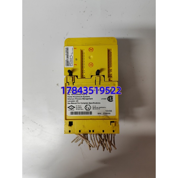 Emerson SLS1508 (KJ2201X1-BA1) | DeltaV SIS 智能逻辑求解器 SIL3