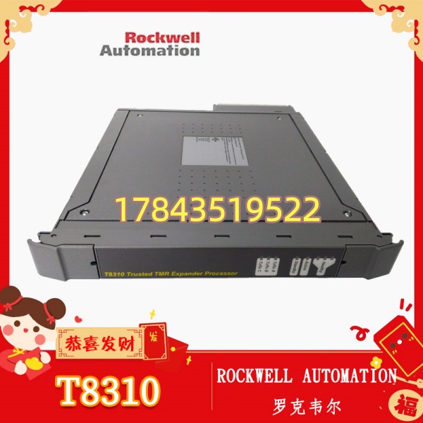 罗克韦尔 T8310 | 容错扩展接口 - 图片 4
