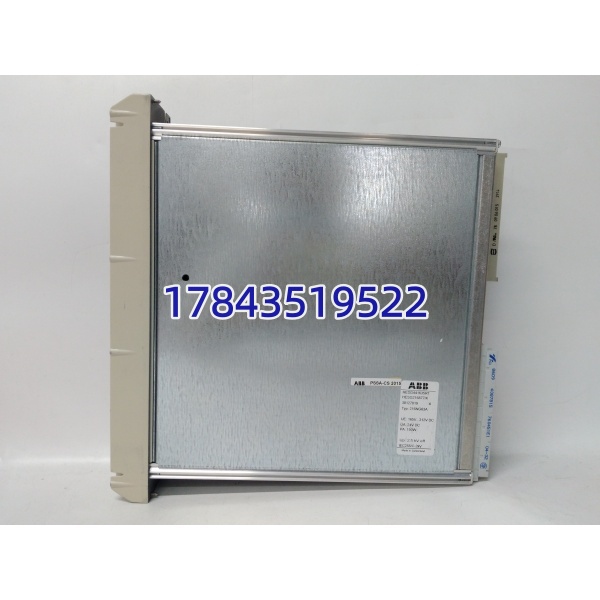 ABB 216NG63A HESG216877K | 静态励磁系统 CPU 模块 带协处理 - 图片 3