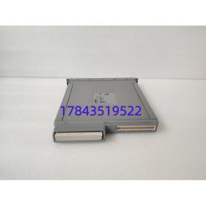 ICS Triplex T8431 | 40通道AI卡件