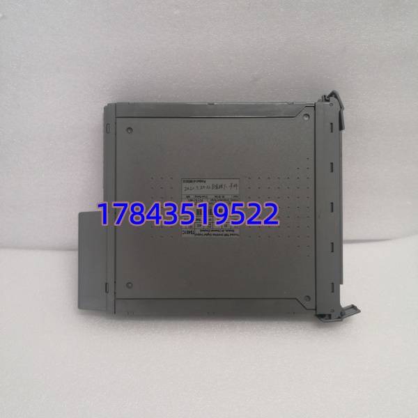 ICS Triplex T8461C 832001 | 40通道 24/48V DC 固态输出 - 图片 3