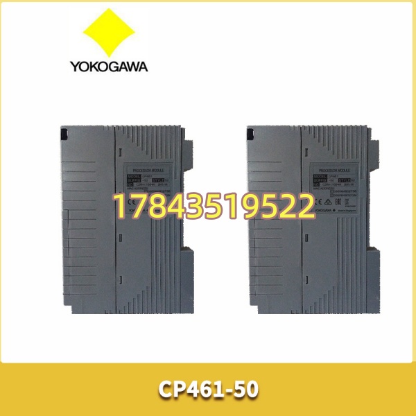 YOKOGAWA CP461-50 | 无防爆标准型 - 图片 4