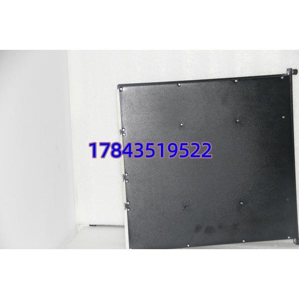 TRICONEX 4351B | TriStation/Ethernet 接口 - 图片 4
