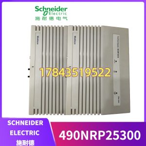 Schneider Electric 490NRP25300 | 关键A类慢流备件