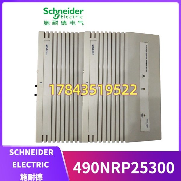 Schneider Electric 490NRP25300 | 关键A类慢流备件