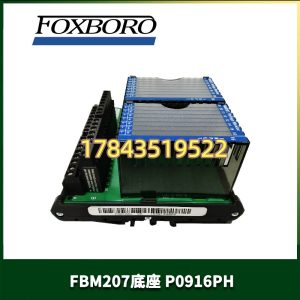福克斯波罗 P0916PH | 现场电源底座