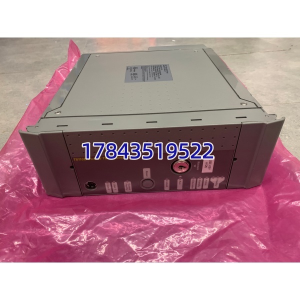 ICS Triplex T8110B | 带电池备份 RAM 热插拔支持 - 图片 4