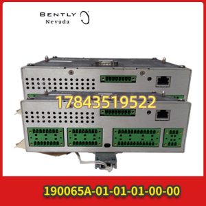 Bently Nevada 190065A-01-01-01-00-00 Cable Assembly (I/O to Power / Module Interconnect) | 关键 C 类易损附件