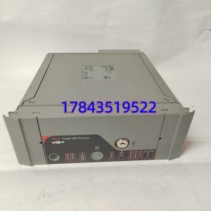ICS Triplex T8111C | SIL 3 三重模块冗余 MPU