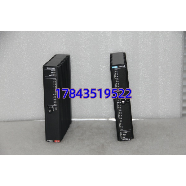 Triconex 3410(DO3401)| 32点 TMR 数字量输出模块(继电器型) - 图片 3