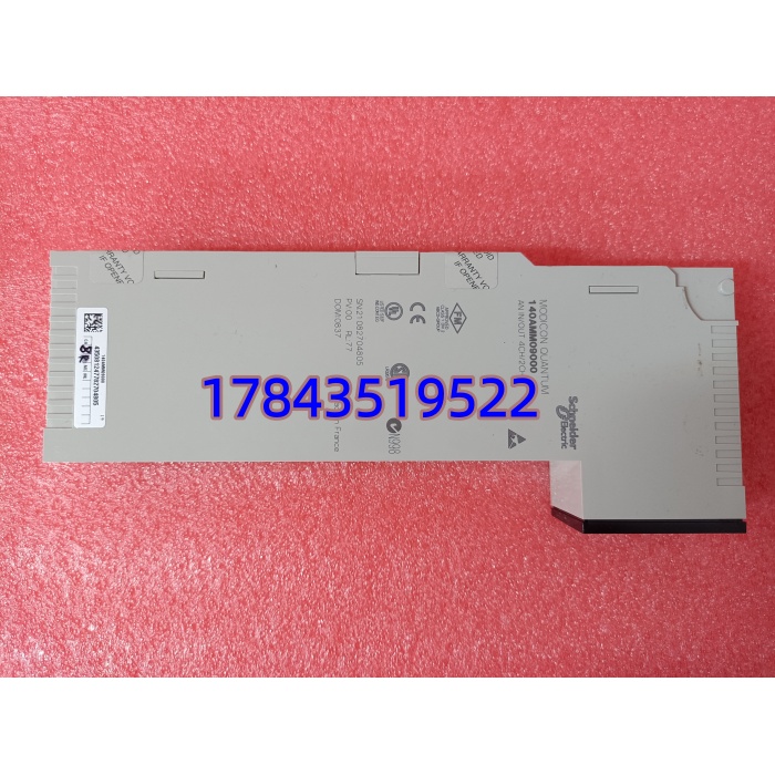 Schneider 140AMM09000 | 过程控制用 16位分辨率 AI/AO - 图片 2