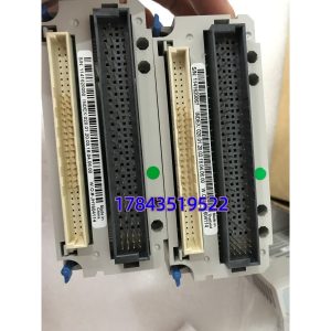 Emerson 1C31224G01 | 模拟量输入卡