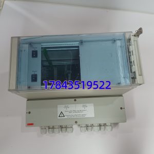 Berthold LB 4460 可替换早期 LB 4440 系列单通道主机 | 自动死时间修正 带就地显示键区 铝压铸外壳 IP65