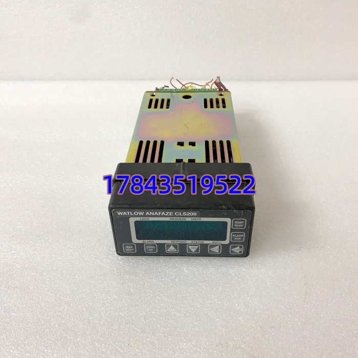 Watlow CLS208 | 8回路 PID 温度控制器 - 图片 3