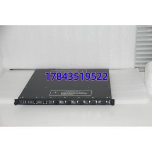 TRICONEX 4351B | TriStation/Ethernet 接口