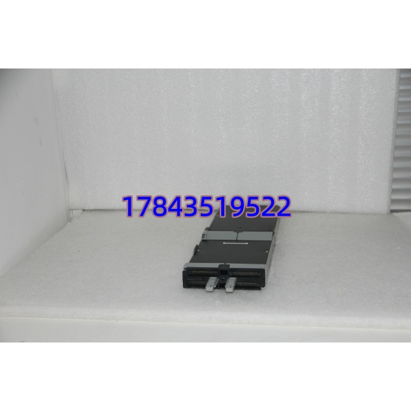Foxboro FBM04 P0400YE | 模拟量输入/输出模块