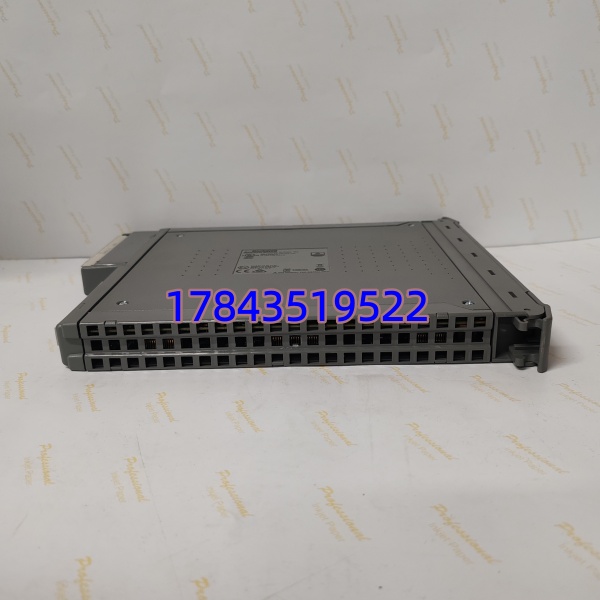 ICS Triplex T8480C | TMR架构 带通道断线诊断 支持热插拔 - 图片 4