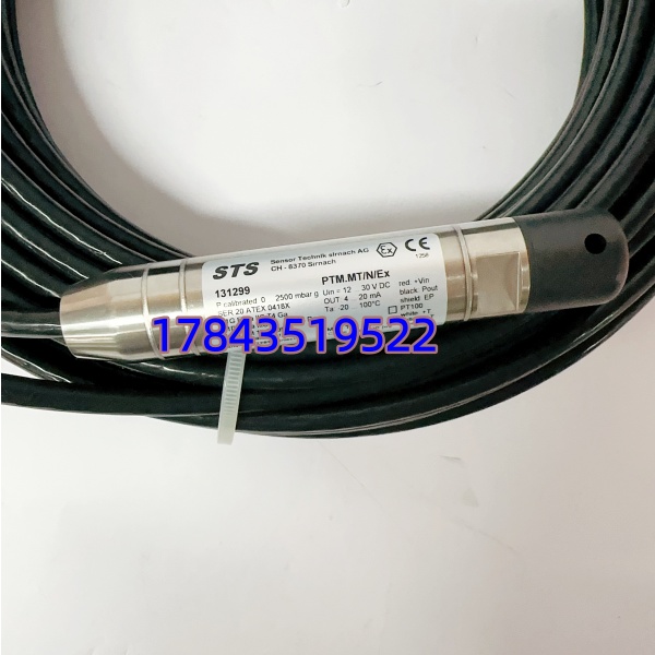ABB PTM.MTNEx 131299 工业运动控制CPU模块 | 关键A类停机备件 - 图片 3