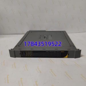 ICS Triplex T8480C | TMR架构 带通道断线诊断 支持热插拔
