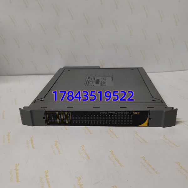 ICS Triplex T8480C | TMR架构 带通道断线诊断 支持热插拔