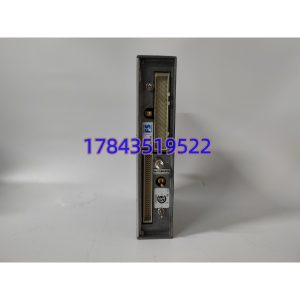 TRICONEX 3201 | 125从站Modbus主站适配器
