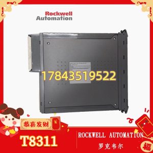 Rockwell Automation T8311 | 250Mbps总线