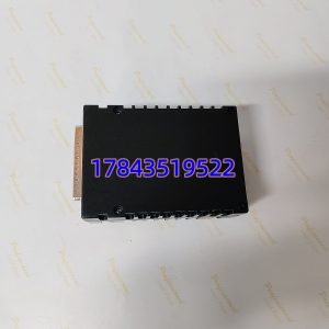 GE IS220PDOAH1A | 12路继电器输出 配TRLY端子板