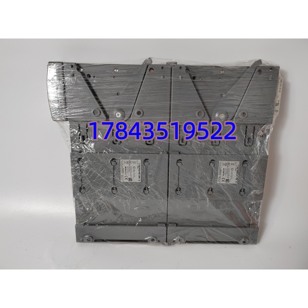 ICS TRIPLEX T9802 | TMR主处理器模块 - 图片 2