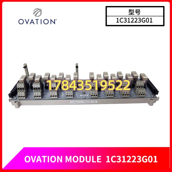 merson Ovation 1C31223G01 | 32通道 24VDC 标准数字量输入模块(DI) - 图片 4