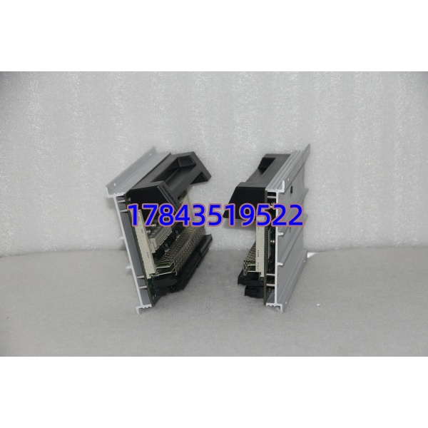TRICONEX 2351 | 安全仪表系统 DO 卡件 - 图片 4