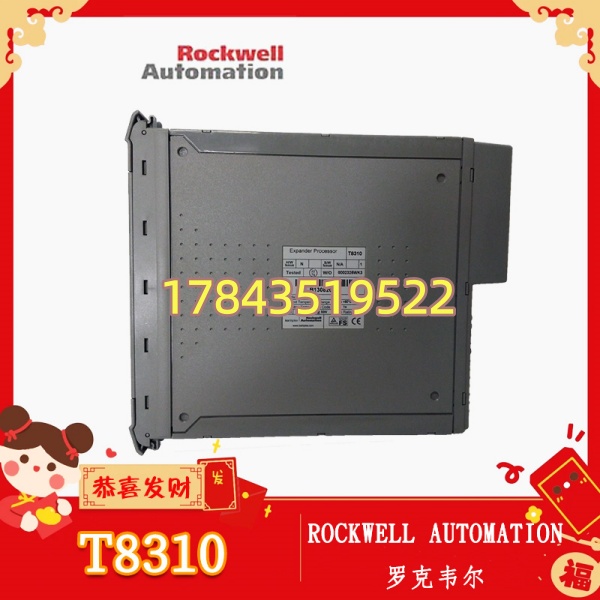 罗克韦尔 T8310 | 容错扩展接口
