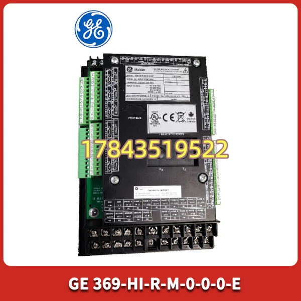 GE Multilin 369-HI-R-M-0-0-0-E | 带 RS-485 Modbus / 大 LCD 显示 - 图片 2
