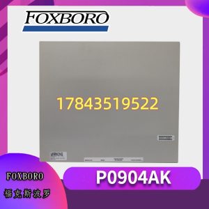 福克斯波罗 P0904AK | DCS系统专用端子板