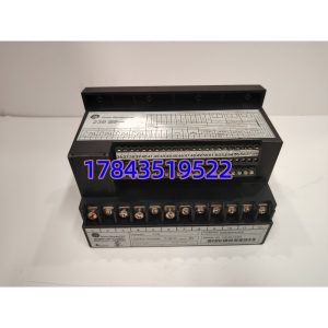 GE Multilin 239-RTD-AN | 三相电机综合保护继电器 带RTD