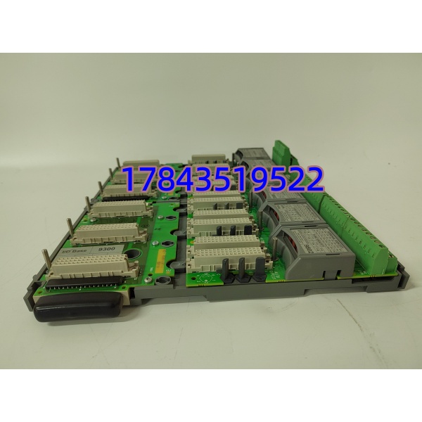 ICS TRIPLEX 9852 1-9802 2 | 板底座模块