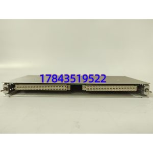 Bently Nevada 146031-01 (3500/22M I/O Option) | (EOL,建议Last-time-buy核查)