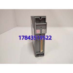Yokogawa AAI141-H50 S2 | 带 HART 多路复用 50Ω 输入阻抗 隔离型 AI 卡
