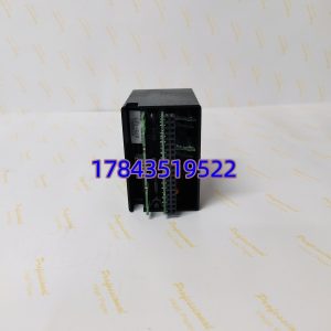 GE IC670ALG310 | Field Control I/O 模拟量采集卡