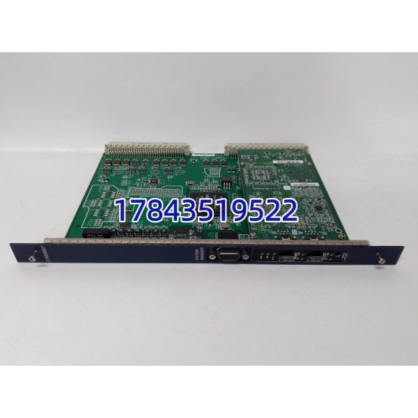 GE IC698ETM001 | 2端口 10/100/1000Base-TX 通信处理器 - 图片 4