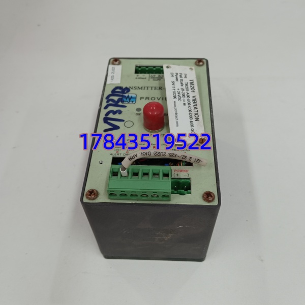 ProvibTech TM201-A00-B00-C00-D00-E00-G00 | 轴振动变送保护表