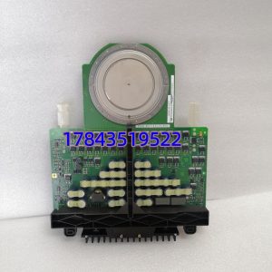 SAIA 52030C10 PCD2.W200 | 插卡式非隔离 10bit 模拟输入