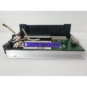 2481 TRICONEX | 在产 交期8-20周 建议提前锁货