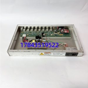ACC-5595-208 350-805595-208 | Emerson 现场总线接口卡